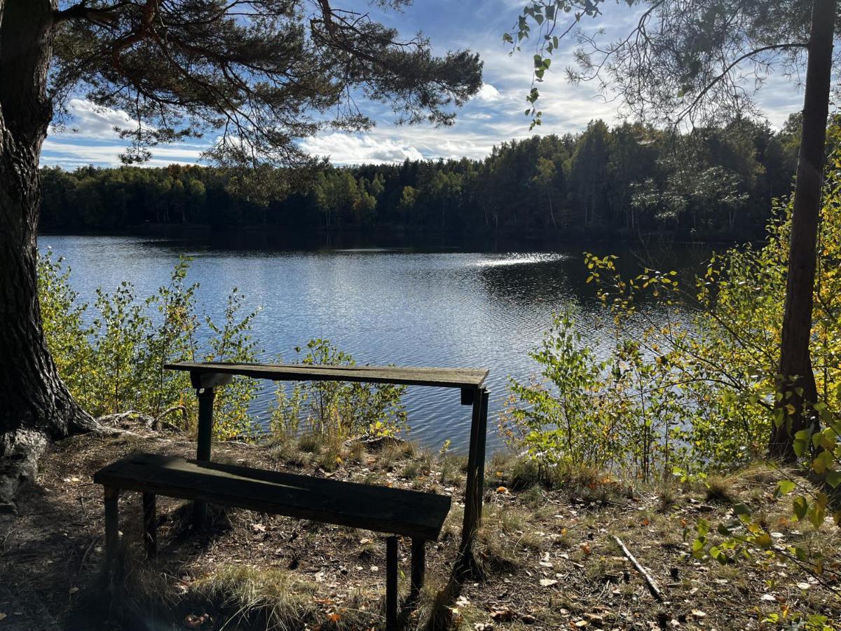Ferienwohnung Am See Dillich - Ruhige Lage - Eigener Garten - Direkt Neben Einem Natursee Borken  Екстер'єр фото