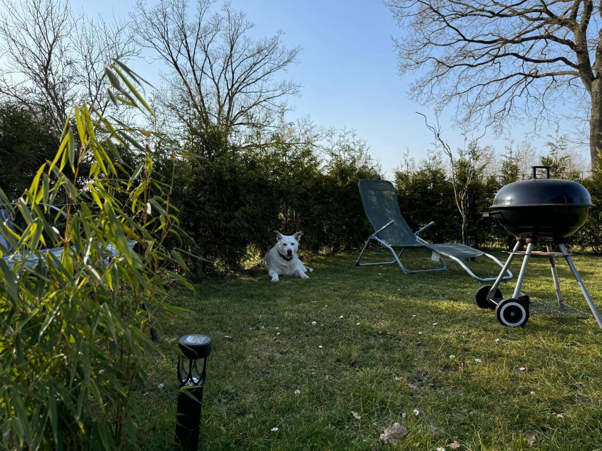 Ferienwohnung Am See Dillich - Ruhige Lage - Eigener Garten - Direkt Neben Einem Natursee Borken  Екстер'єр фото
