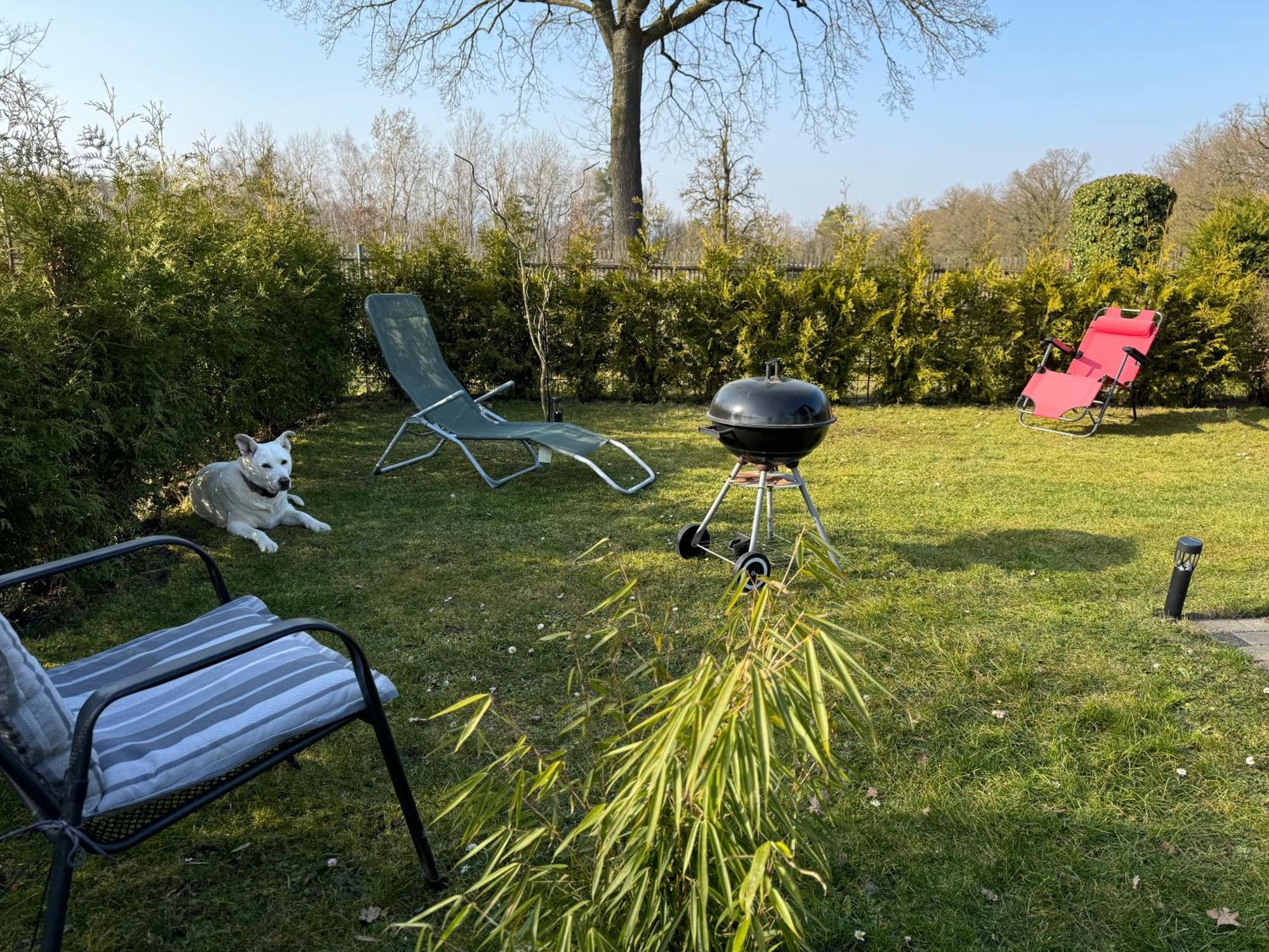 Ferienwohnung Am See Dillich - Ruhige Lage - Eigener Garten - Direkt Neben Einem Natursee Borken  Екстер'єр фото
