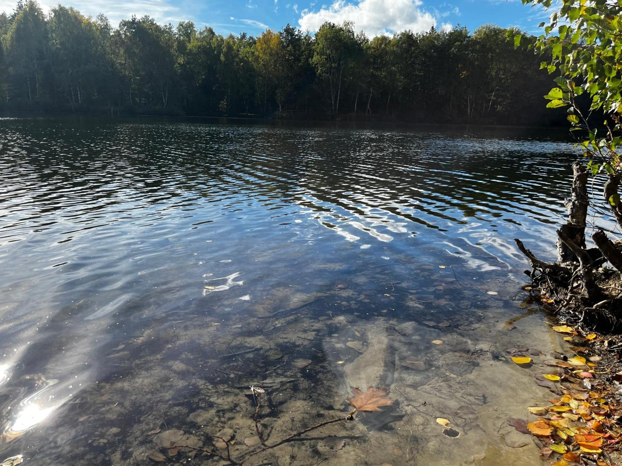 Ferienwohnung Am See Dillich - Ruhige Lage - Eigener Garten - Direkt Neben Einem Natursee Borken  Екстер'єр фото