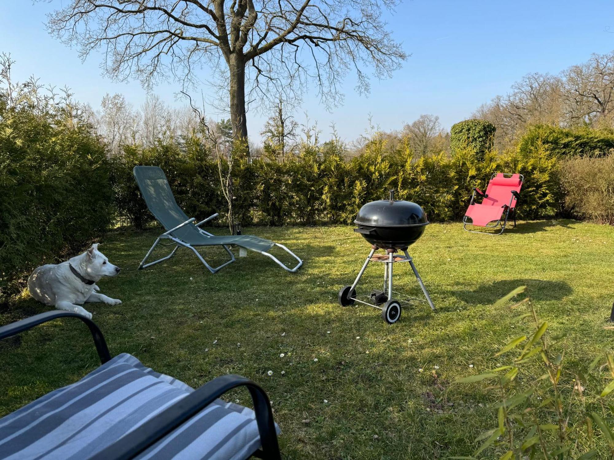 Ferienwohnung Am See Dillich - Ruhige Lage - Eigener Garten - Direkt Neben Einem Natursee Borken  Екстер'єр фото
